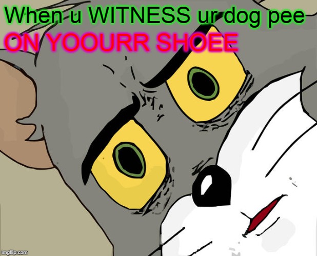 Unsettled Tom Meme | When u WITNESS ur dog pee; ON YOOURR SHOEE | image tagged in memes,unsettled tom | made w/ Imgflip meme maker