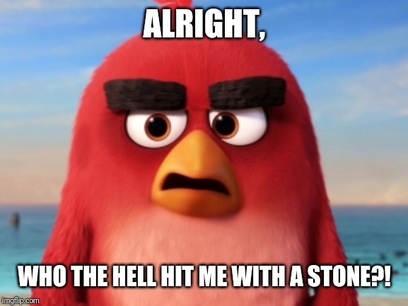 Angry Birds | ALRIGHT, WHO THE HELL HIT ME WITH A STONE?! | image tagged in angry birds | made w/ Imgflip meme maker