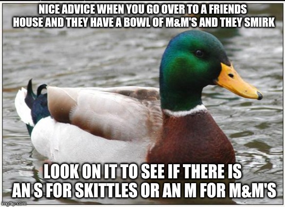 Actual Advice Mallard Meme | NICE ADVICE WHEN YOU GO OVER TO A FRIENDS HOUSE AND THEY HAVE A BOWL OF M&M'S AND THEY SMIRK; LOOK ON IT TO SEE IF THERE IS AN S FOR SKITTLES OR AN M FOR M&M'S | image tagged in memes,actual advice mallard | made w/ Imgflip meme maker