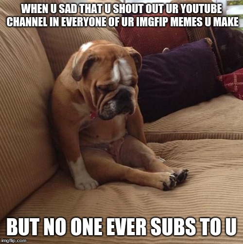 I dont think anyone is going to read or see this, but it would make my day if u subscribed to me, my YouTube channel is Sypheck | WHEN U SAD THAT U SHOUT OUT UR YOUTUBE CHANNEL IN EVERYONE OF UR IMGFIP MEMES U MAKE; BUT NO ONE EVER SUBS TO U | image tagged in bulldogsad,youtube,youtubers,yt,yt,youtuber | made w/ Imgflip meme maker