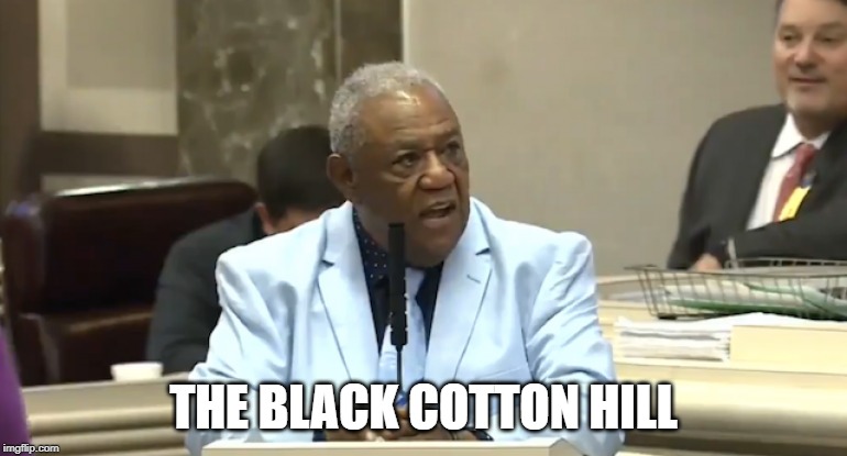 If Hank Hill Was Black. | THE BLACK COTTON HILL | image tagged in king of the hill,cotton hill,john rogers | made w/ Imgflip meme maker