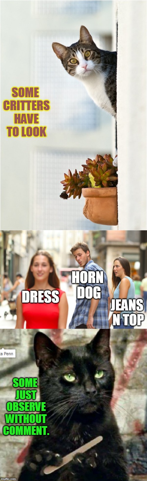 SOME CRITTERS HAVE TO LOOK; HORN DOG; DRESS; JEANS N TOP; SOME JUST OBSERVE WITHOUT COMMENT. | image tagged in memes,distracted boyfriend | made w/ Imgflip meme maker
