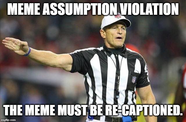Foul Ref | MEME ASSUMPTION VIOLATION THE MEME MUST BE RE-CAPTIONED. | image tagged in foul ref | made w/ Imgflip meme maker