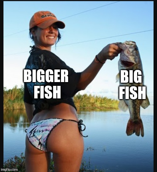 BIG FISH BIGGER FISH | made w/ Imgflip meme maker