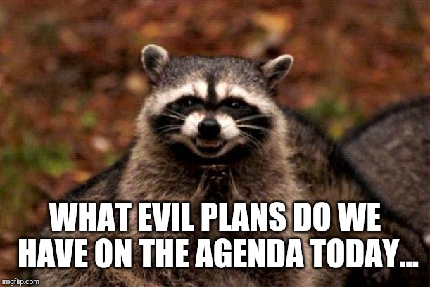 Evil Plotting Raccoon Meme | WHAT EVIL PLANS DO WE HAVE ON THE AGENDA TODAY... | image tagged in memes,evil plotting raccoon | made w/ Imgflip meme maker