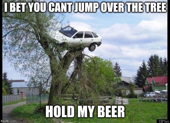 Secure Parking Meme | I BET YOU CANT JUMP OVER THE TREE; HOLD MY BEER | image tagged in memes,secure parking | made w/ Imgflip meme maker