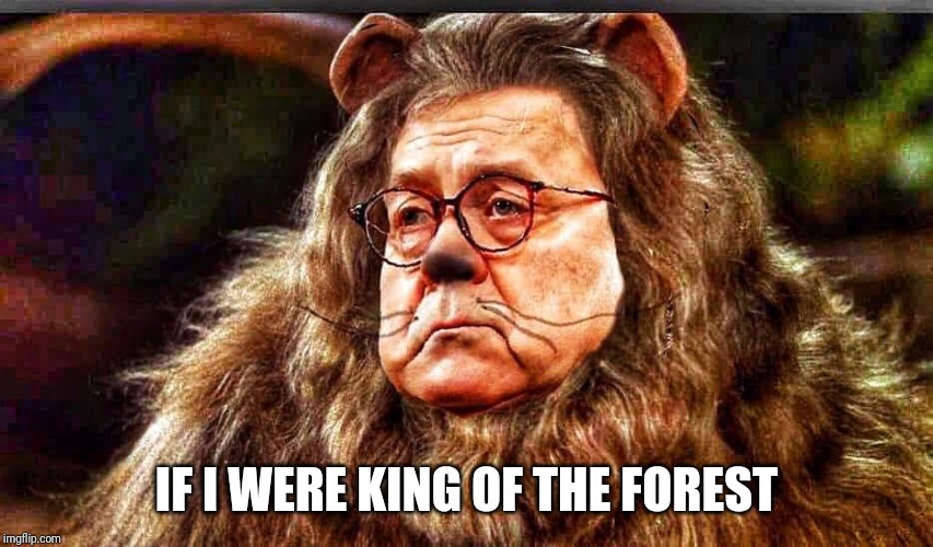 Memes | IF I WERE KING OF THE FOREST | image tagged in creepy condescending wonka | made w/ Imgflip meme maker