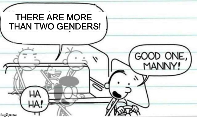 Good one Manny | THERE ARE MORE THAN TWO GENDERS! | image tagged in good one manny | made w/ Imgflip meme maker