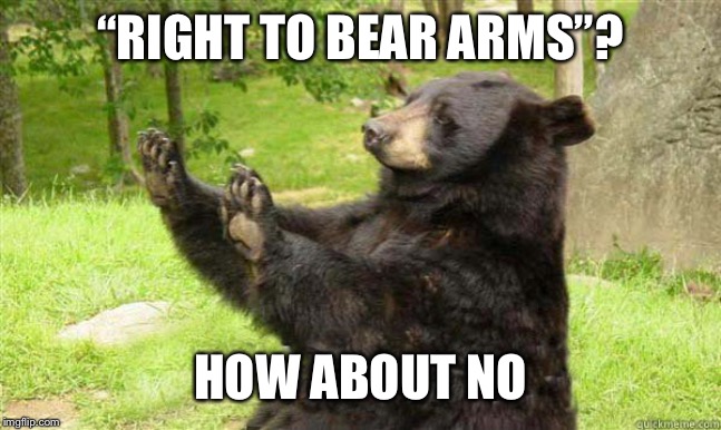 How about no bear | “RIGHT TO BEAR ARMS”? HOW ABOUT NO | image tagged in how about no bear | made w/ Imgflip meme maker