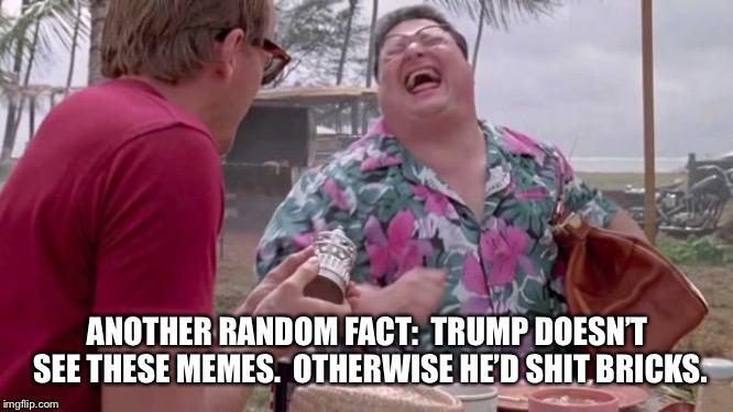 Wayne knight laughs | ANOTHER RANDOM FACT:  TRUMP DOESN’T SEE THESE MEMES.  OTHERWISE HE’D SHIT BRICKS. | image tagged in wayne knight laughs | made w/ Imgflip meme maker