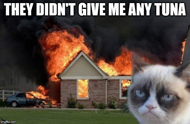 Burn Kitty Meme | THEY DIDN'T GIVE ME ANY TUNA | image tagged in memes,burn kitty,grumpy cat | made w/ Imgflip meme maker