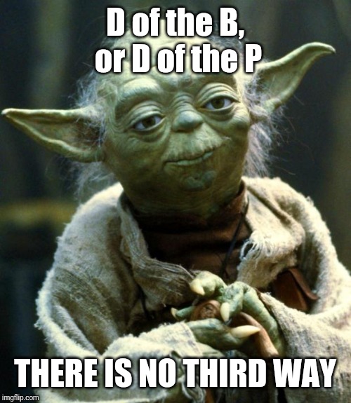 Star Wars Yoda Meme | D of the B, or D of the P; THERE IS NO THIRD WAY | image tagged in memes,star wars yoda | made w/ Imgflip meme maker
