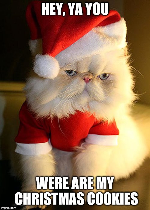 Santa Grumpy Cat | HEY, YA YOU; WERE ARE MY CHRISTMAS COOKIES | image tagged in santa grumpy cat | made w/ Imgflip meme maker