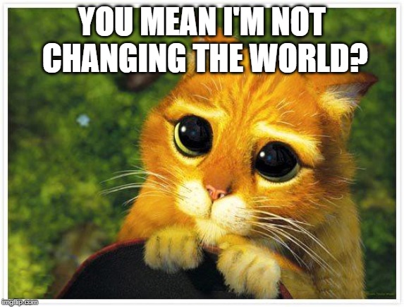 Sorry Kitty | YOU MEAN I'M NOT CHANGING THE WORLD? | image tagged in sorry kitty | made w/ Imgflip meme maker