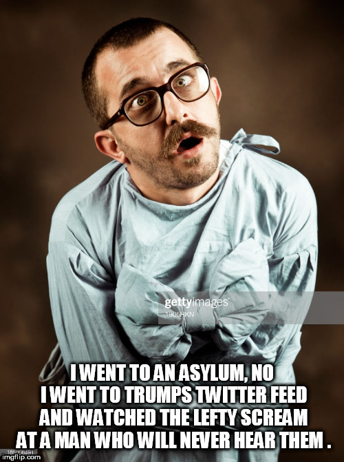 dnc | I WENT TO AN ASYLUM, NO I WENT TO TRUMPS TWITTER FEED AND WATCHED THE LEFTY SCREAM AT A MAN WHO WILL NEVER HEAR THEM . | image tagged in dnc | made w/ Imgflip meme maker