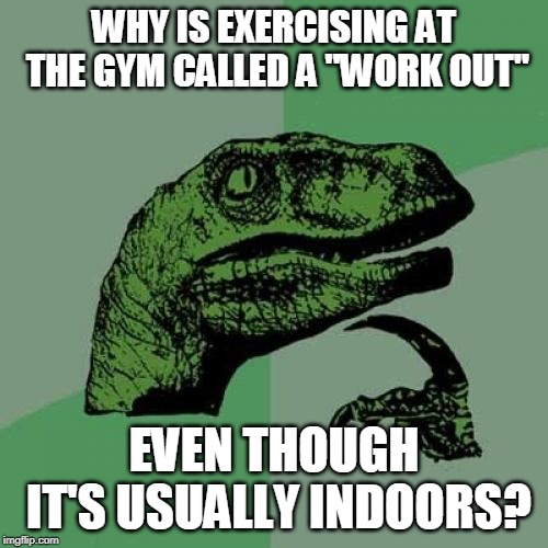 Philoso-pun | WHY IS EXERCISING AT THE GYM CALLED A "WORK OUT"; EVEN THOUGH IT'S USUALLY INDOORS? | image tagged in memes,philosoraptor,gym,gymlife | made w/ Imgflip meme maker