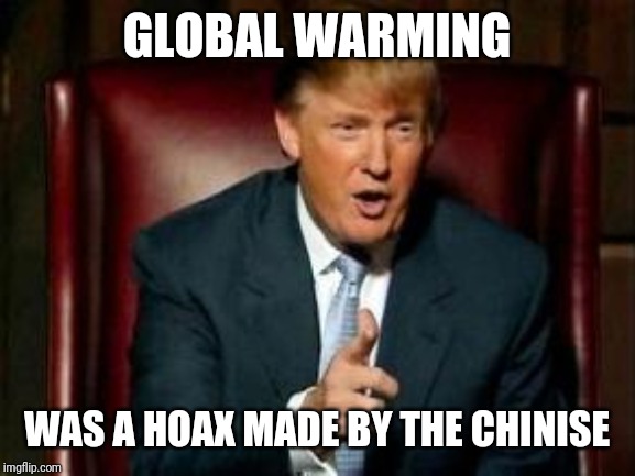 Donald Trump | GLOBAL WARMING; WAS A HOAX MADE BY THE CHINISE | image tagged in donald trump | made w/ Imgflip meme maker