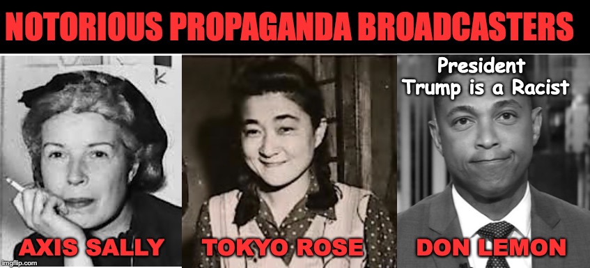 Rogues Gallery | NOTORIOUS PROPAGANDA BROADCASTERS; President Trump is a Racist; AXIS SALLY     TOKYO ROSE       DON LEMON | image tagged in propaganda,don lemon,cnn fake news,fascist | made w/ Imgflip meme maker