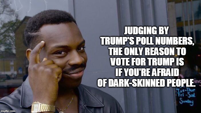 Roll Safe Think About It Meme | JUDGING BY TRUMP'S POLL NUMBERS, THE ONLY REASON TO VOTE FOR TRUMP IS IF YOU'RE AFRAID OF DARK-SKINNED PEOPLE. | image tagged in memes,roll safe think about it | made w/ Imgflip meme maker