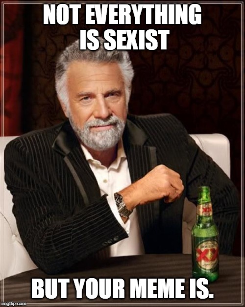 The Most Interesting Man In The World Meme | NOT EVERYTHING IS SEXIST BUT YOUR MEME IS. | image tagged in memes,the most interesting man in the world | made w/ Imgflip meme maker