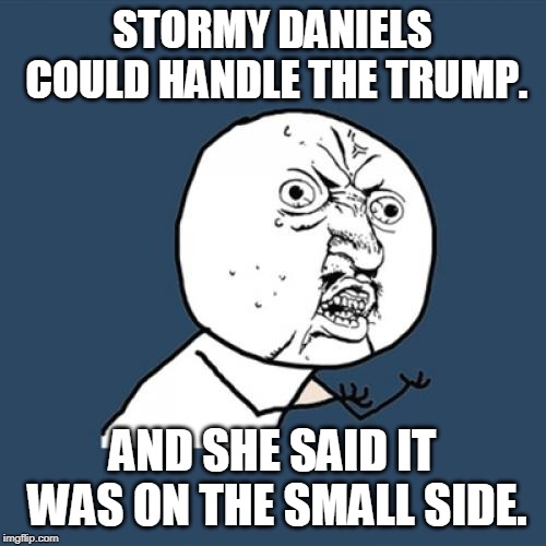 Y U No Meme | STORMY DANIELS COULD HANDLE THE TRUMP. AND SHE SAID IT WAS ON THE SMALL SIDE. | image tagged in memes,y u no | made w/ Imgflip meme maker