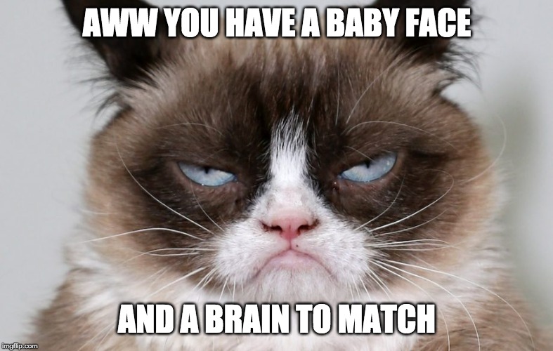 such a grump! | AWW YOU HAVE A BABY FACE; AND A BRAIN TO MATCH | image tagged in another grumpy cat picture | made w/ Imgflip meme maker
