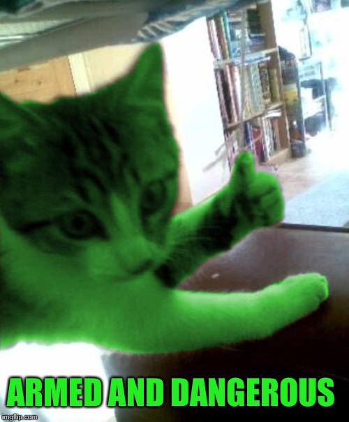 thumbs up RayCat | ARMED AND DANGEROUS | image tagged in thumbs up raycat | made w/ Imgflip meme maker