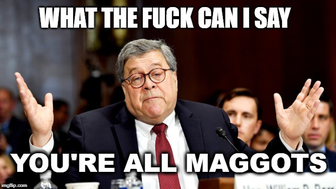 WHAT THE FUCK CAN I SAY; YOU'RE ALL MAGGOTS | made w/ Imgflip meme maker