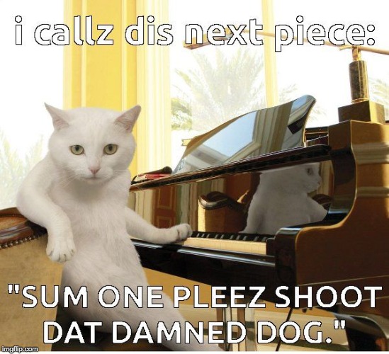 artistic liberties | , | image tagged in cat,piano | made w/ Imgflip meme maker