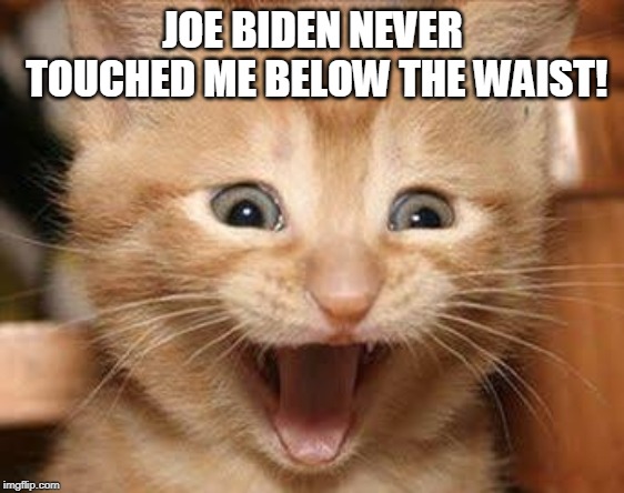 Excited Cat Meme | JOE BIDEN NEVER TOUCHED ME BELOW THE WAIST! | image tagged in memes,excited cat | made w/ Imgflip meme maker