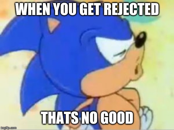 sonic that's no good | WHEN YOU GET REJECTED; THATS NO GOOD | image tagged in sonic that's no good | made w/ Imgflip meme maker