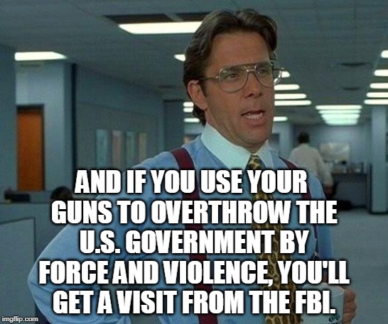 That Would Be Great Meme | AND IF YOU USE YOUR GUNS TO OVERTHROW THE U.S. GOVERNMENT BY FORCE AND VIOLENCE, YOU'LL GET A VISIT FROM THE FBI. | image tagged in memes,that would be great | made w/ Imgflip meme maker