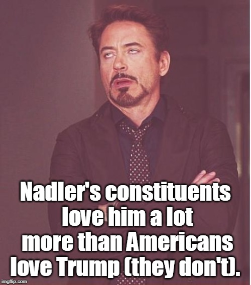 Face You Make Robert Downey Jr Meme | Nadler's constituents love him a lot more than Americans love Trump (they don't). | image tagged in memes,face you make robert downey jr | made w/ Imgflip meme maker