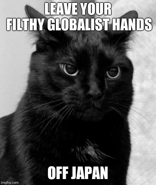Black cat pissed | LEAVE YOUR FILTHY GLOBALIST HANDS OFF JAPAN | image tagged in black cat pissed | made w/ Imgflip meme maker