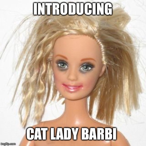 barbie estudiante | INTRODUCING CAT LADY BARBI | image tagged in barbie estudiante | made w/ Imgflip meme maker