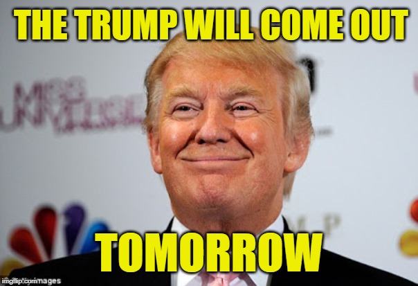 Tomorrow's Just a Trump Away | THE TRUMP WILL COME OUT; TOMORROW | image tagged in donald trump approves,annie,tomorrow,mashup,funny trump meme,song lyrics | made w/ Imgflip meme maker