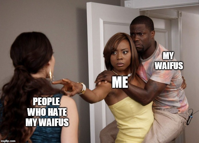 Woman Holding Kevin Hart | MY WAIFUS; ME; PEOPLE WHO HATE MY WAIFUS | image tagged in woman holding kevin hart | made w/ Imgflip meme maker