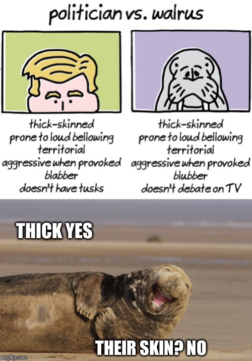 Maybe we can’t count Donald Tusk in this | THICK YES; THEIR SKIN? NO | image tagged in memes,politics,politically correct,meme,i am the walrus,politicians | made w/ Imgflip meme maker