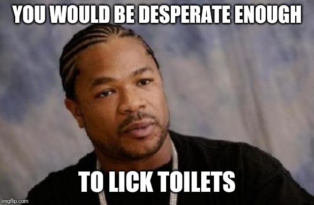 Serious Xzibit Meme | YOU WOULD BE DESPERATE ENOUGH TO LICK TOILETS | image tagged in memes,serious xzibit | made w/ Imgflip meme maker