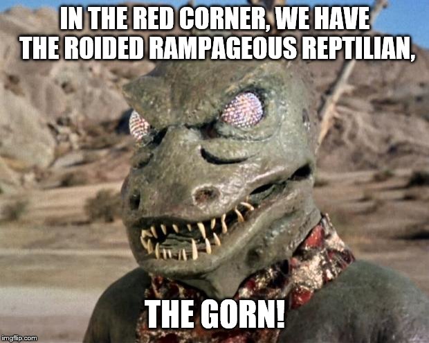 Gorn | IN THE RED CORNER, WE HAVE THE ROIDED RAMPAGEOUS REPTILIAN, THE GORN! | image tagged in gorn | made w/ Imgflip meme maker