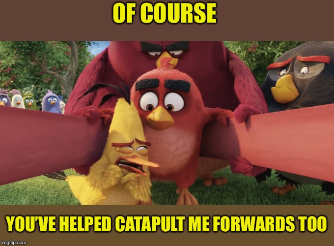 ANGRY BIRDS | OF COURSE YOU’VE HELPED CATAPULT ME FORWARDS TOO | image tagged in angry birds | made w/ Imgflip meme maker