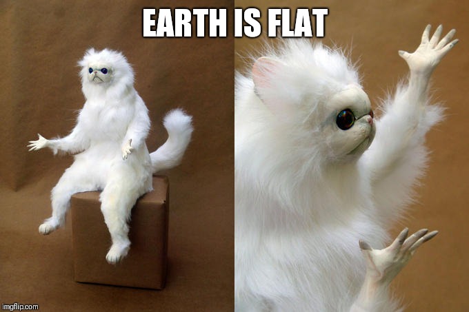 Persian Cat Room Guardian | EARTH IS FLAT | image tagged in memes,persian cat room guardian | made w/ Imgflip meme maker