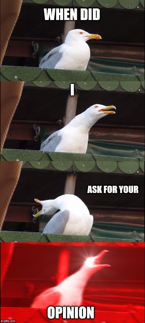 Did I ask for your opinion | WHEN DID; I; ASK FOR YOUR; OPINION | image tagged in memes,inhaling seagull | made w/ Imgflip meme maker