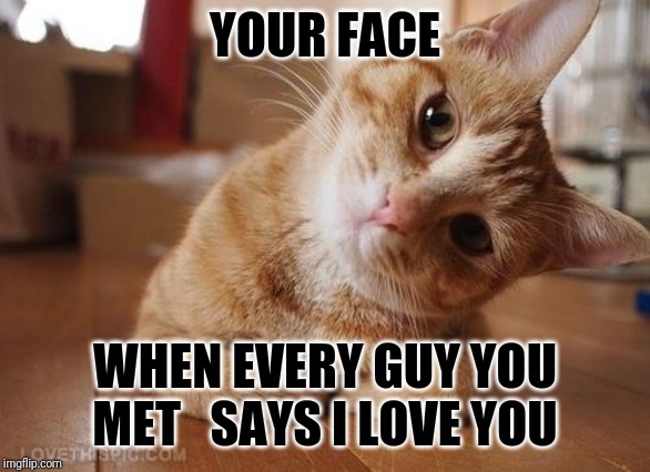 Curious Question Cat |  YOUR FACE; WHEN EVERY GUY YOU MET 

SAYS I LOVE YOU | image tagged in curious question cat | made w/ Imgflip meme maker