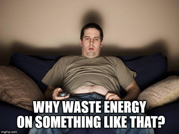 lazy fat guy on the couch | WHY WASTE ENERGY ON SOMETHING LIKE THAT? | image tagged in lazy fat guy on the couch | made w/ Imgflip meme maker
