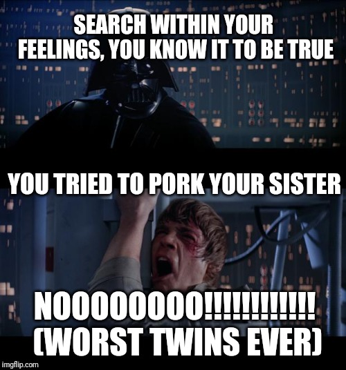 Star Wars No Meme | SEARCH WITHIN YOUR FEELINGS, YOU KNOW IT TO BE TRUE; YOU TRIED TO PORK YOUR SISTER; NOOOOOOOO!!!!!!!!!!!! (WORST TWINS EVER) | image tagged in memes,star wars no | made w/ Imgflip meme maker