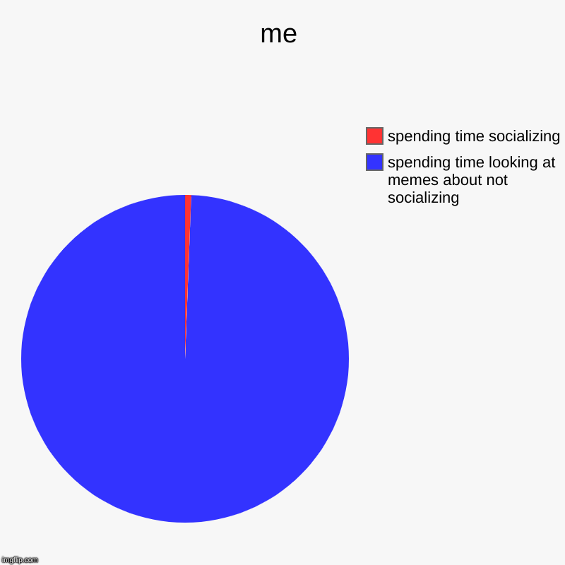 me | spending time looking at memes about not socializing, spending time socializing | image tagged in charts,pie charts | made w/ Imgflip chart maker