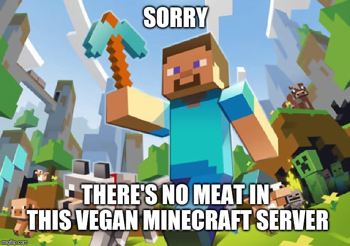 Minecraft  | SORRY THERE'S NO MEAT IN THIS VEGAN MINECRAFT SERVER | image tagged in minecraft | made w/ Imgflip meme maker