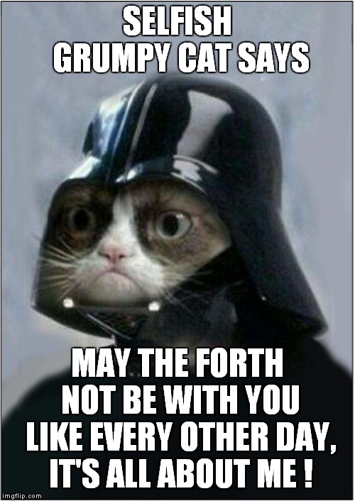 Grumpy Says, May the Forth ... NOT Be With You | SELFISH GRUMPY CAT SAYS; MAY THE FORTH NOT BE WITH YOU LIKE EVERY OTHER DAY, IT'S ALL ABOUT ME ! | image tagged in cats,grumpy cat,star wars,may the 4th | made w/ Imgflip meme maker