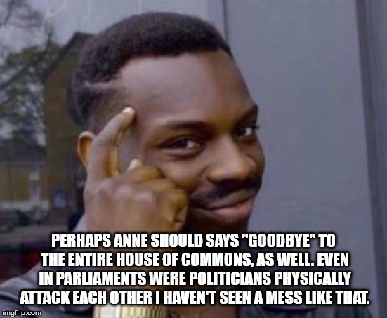 Smart black guy | PERHAPS ANNE SHOULD SAYS "GOODBYE" TO THE ENTIRE HOUSE OF COMMONS, AS WELL. EVEN IN PARLIAMENTS WERE POLITICIANS PHYSICALLY ATTACK EACH OTHE | image tagged in smart black guy | made w/ Imgflip meme maker